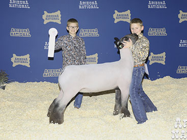 3rd Overall Div 5 - Class 13 Winner Arizona National Livestock Show 3rd Overall Div 5 - Class 13 Winner Arizona National Livestock Show