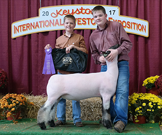 Grand Champion Wether 2017 Keystone International Livestock Expo. Grand Champion Wether 2017 Keystone International Livestock Expo.