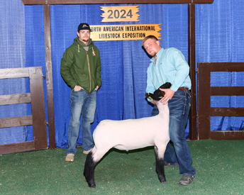 Champion AOB NAILE Champion AOB NAILE