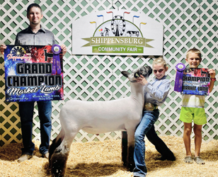 Champion Market Lamb Shippensburg Community Fair Champion Market Lamb Shippensburg Community Fair