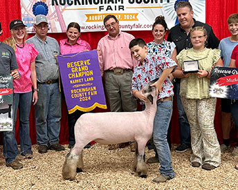 Reserve Champion Market Lamb Rockingham County Fair, VA Reserve Champion Market Lamb Rockingham County Fair, VA