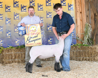 Grand Champion Mountain State Show Series Futurity Grand Champion Mountain State Show Series Futurity