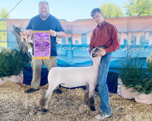 Grand Overall Market Lamb Augusta Co. Fair Jackpot Grand Overall Market Lamb Augusta Co. Fair Jackpot