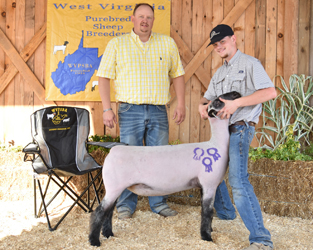 Supreme Champion Ewe & Champion Cross WVPSBA Show & Sale Supreme Champion Ewe & Champion Cross WVPSBA Show & Sale
