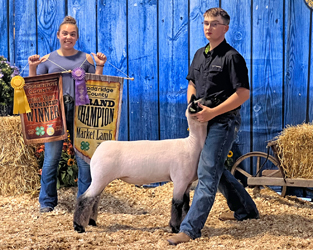 Champion Market Lamb Doddridge Co. Fair Champion Market Lamb Doddridge Co. Fair