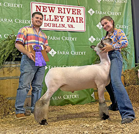Grand Overall Market Lamb New River Valley Jackpot, VA Grand Overall Market Lamb New River Valley Jackpot, VA
