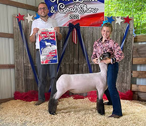 Champion Market Lamb The Independent Lamb & Goat Show Champion Market Lamb The Independent Lamb & Goat Show