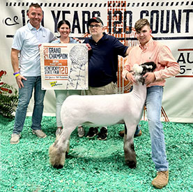 Champion Oxford Kentucky State Fair Champion Oxford Kentucky State Fair