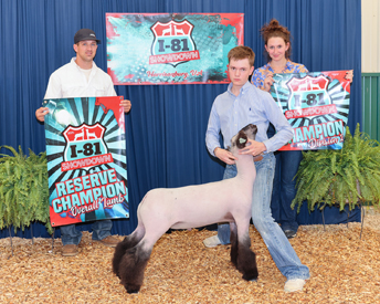 Reserve Overall Champion D2 I-81 Showdown Reserve Overall Champion D2 I-81 Showdown
