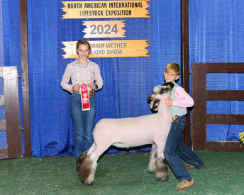 Shropshire Class 20 - 2nd Place NAILE Shropshire Class 20 - 2nd Place NAILE