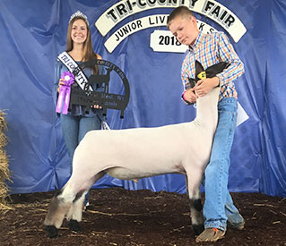 Reserve Champion Champion Middleweight Reserve Champion Bred & Owned 2018 Tri-County Fair Reserve Champion<br />
Champion Middleweight<br />
Reserve Champion Bred & Owned 2018 Tri-County Fair