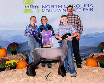 Supreme Champion Ewe North Carolina Mountain State Fair Supreme Champion Ewe North Carolina Mountain State Fair