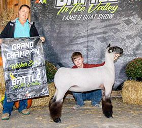Grand Overall & Champion Heavyweight Wether Dam Reserve Overall & Champion Heavyweight Market Lamb Battle in the Valley Grand Overall & Champion Heavyweight Wether Dam Reserve Overall & Champion Heavyweight Market Lamb Battle in the Valley