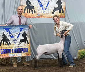 Champion Market Lamb Virginia Lamb & Goat Symposium Champion Market Lamb Virginia Lamb & Goat Symposium