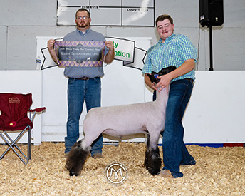 Reserve GraReserve Grand Champion Market Lamb Wilson County Livestock Shownd Champion Market Lamb Wilson County Livestock Show Reserve Grand Champion Market Lamb Wilson County Livestock Show
