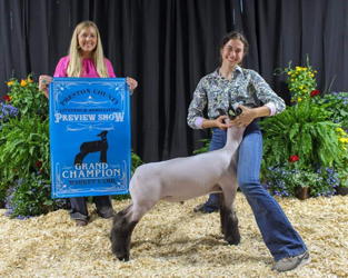 Grand Champion PCLA Preview Grand Champion PCLA Preview