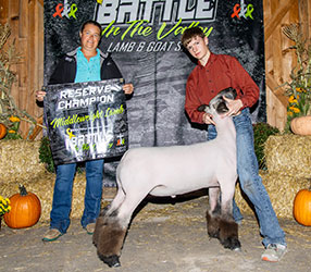 Reserve Middleweight Market Lamb Battle in the Valley Reserve Middleweight Market Lamb Battle in the Valley