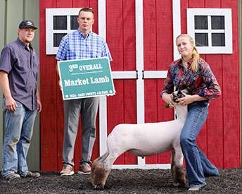 3rd Overall, Champion Shrop Cass Co Fair, IN 3rd Overall, Champion Shrop Cass Co Fair, IN