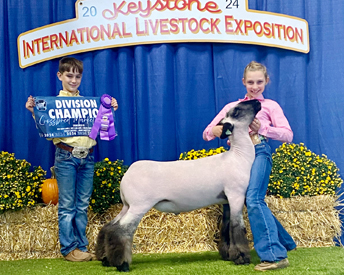 Champion D2 BFX Keystone International Champion D2 BFX Keystone International