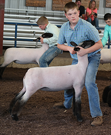 Winner Class 7 2017 Mountain State Preview Show Winner Class 7 2017 Mountain State Preview Show