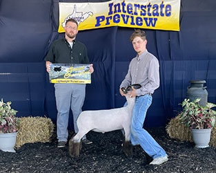 Champion Lightweight Market Lamb Interstate Preview Show Champion Lightweight Market Lamb Interstate Preview Show