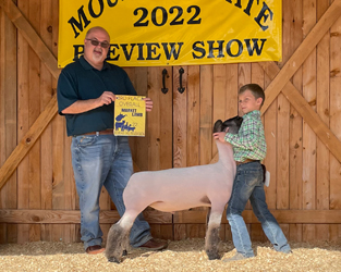 Champion Shropshire Show B Reserve Shropshire Show A Souder Stock Show Champion Shropshire Show B Reserve Shropshire Show A Souder Stock Show