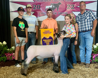 Champion Market Lamb Frederick Co Fair, VA Champion Market Lamb<br />
Frederick Co Fair, VA