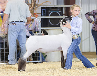 Third Overall Middleweight Washington Co Jackpot Third Overall Middleweight Washington Co Jackpot