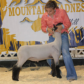 Class Winner 2019 Mountain Madness at the Mill Class Winner 2019 Mountain Madness at the Mill