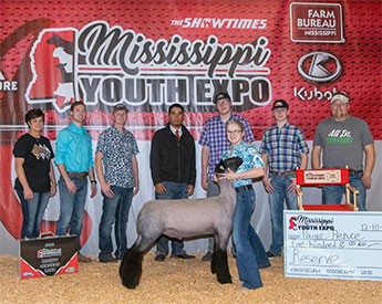Reserve Champion Lamb Mississippi Youth Expo Reserve Champion Lamb Mississippi Youth Expo