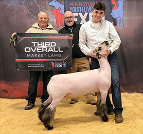 Third Overall Champion Hampshire PA Youth Livestock Expo Third Overall<br />
Champion Hampshire PA Youth Livestock Expo