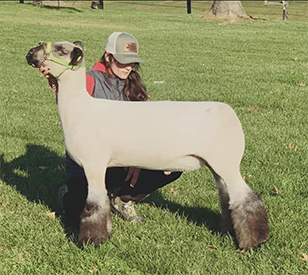 Grand Overall & Champion AOB PA Youth Livestock Expo Virtual Show Grand Overall & Champion AOB PA Youth Livestock Expo Virtual Show