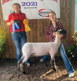 4th Overall Market Lamb Ross County Fair, OH 4th Overall Market Lamb Ross County Fair, OH