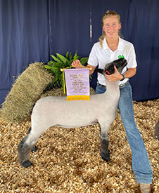 Reserve Champion Hampshire County Fair Reserve Champion Hampshire County Fair