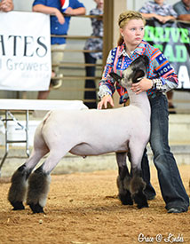 Class Winner BFX Ohio State Fair Class Winner BFX Ohio State Fair