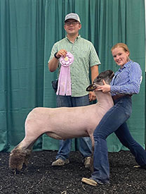 Reserve Champion Heavyweight Rockingham County Fair Reserve Champion Heavyweight Rockingham County Fair