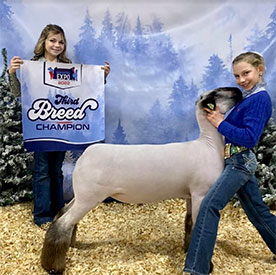 Third Overall Hamp Pennsylvania Youth Livestock Expo Third Overall Hamp Pennsylvania Youth Livestock Expo
