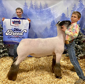 Third Overall BFX Champion D2 BFX Pennsylvania Youth Livestock Expo Third Overall BFX Champion D2 BFX Pennsylvania Youth Livestock Expo