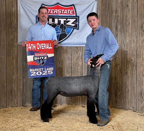 Fourth Overall Market Lamb, Reserve Champion Natural, Interstate Blitz Fourth Overall Market Lamb, Reserve Champion Natural, Interstate Blitz