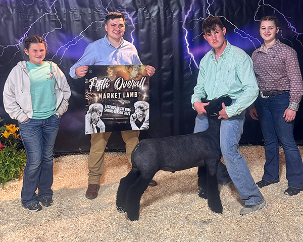 Fifth Overall Market Lamb, Legends of the Ring, Third Overall Natural, Interstate Blitz Fifth Overall Market Lamb, Legends of the Ring, Third Overall Natural, Interstate Blitz