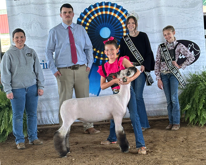 Reserve Overall Market Lamb, Herd Immunity Jackpot Reserve Overall Market Lamb, Herd Immunity Jackpot