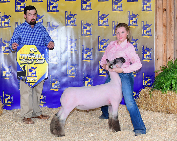 Grand Overall Lamb, Mountain State Show Series Futurity Grand Overall Lamb, Mountain State Show Series Futurity