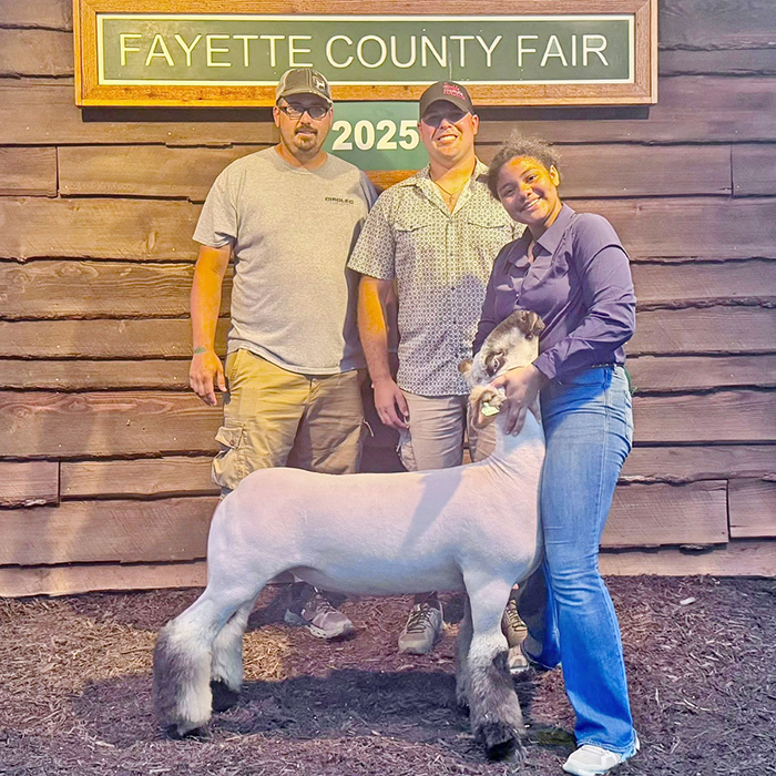 5th Overall Middleweight Reserve Live Carcass/Champion Hanging Carcass Fayette County Fair (PA) 5th Overall Middleweight<br />
Reserve Live Carcass/Champion Hanging Carcass<br />
Fayette County Fair (PA)<br />