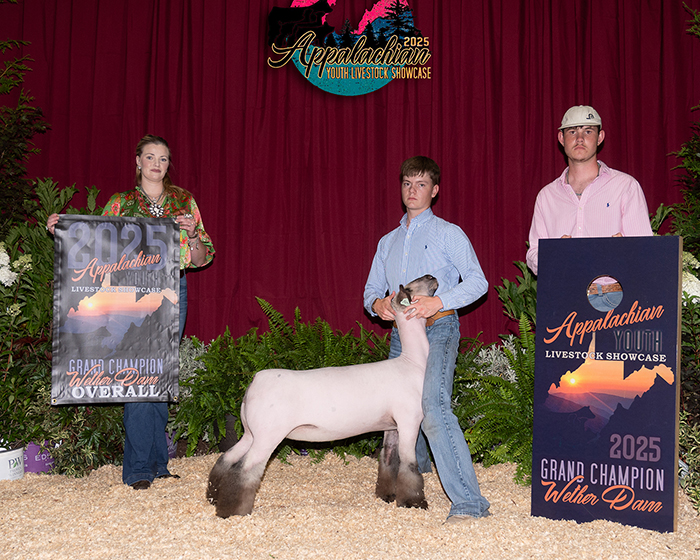 Grand Overall Wether Dam, "Oil Money", Appalachian Youth Livestock Showcase Grand Overall Wether Dam, "Oil Money", Appalachian Youth Livestock Showcase
