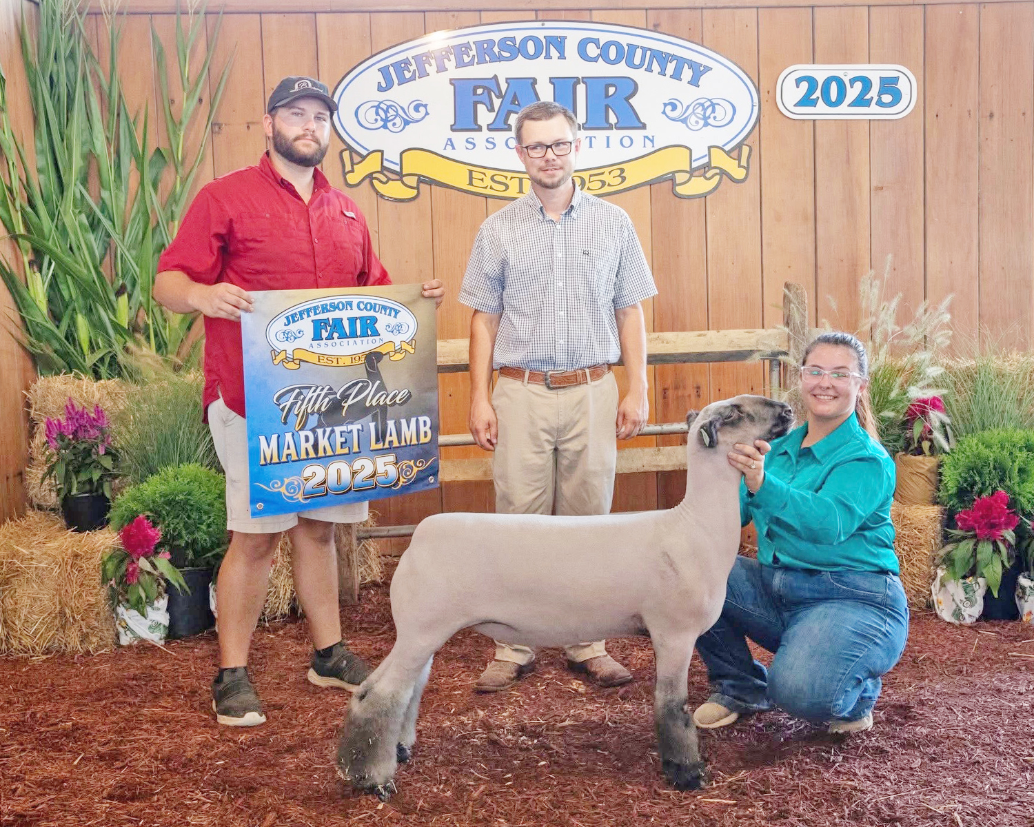 5th Overall Market Lamb, Jefferson County Fair 5th Overall Market Lamb, Jefferson County Fair