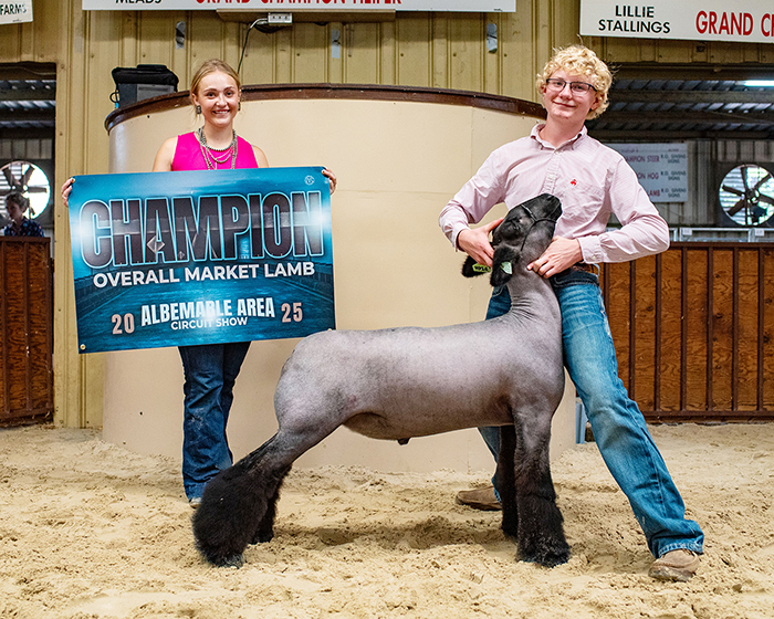 Grand Champion Market Lamb, Albemarle Area Circuit Show Grand Champion Market Lamb, Albemarle Area Circuit Show