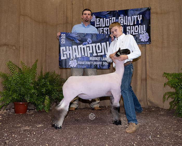 Grand Champion Market Lamb, Lenior County Jackpot Show (NC), Reserve Champion Market Lamb, Halifax County Circuit Show Grand Champion Market Lamb, Lenior County Jackpot Show (NC), Reserve Champion Market Lamb, Halifax County Circuit Show