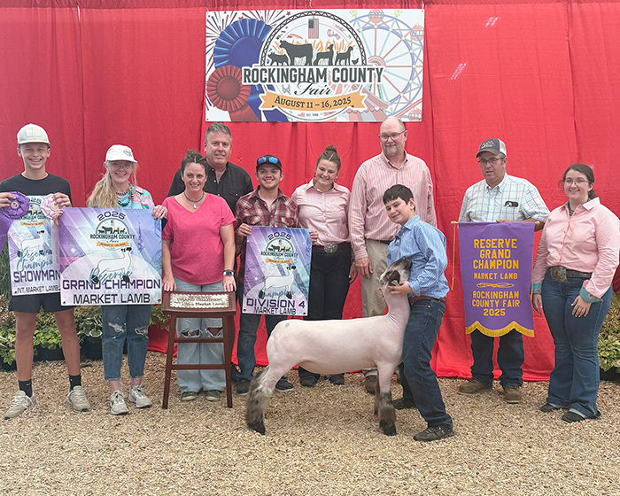Reserve Overall Market Lamb, Champion Division 4, Rockingham County Fair (VA) Reserve Overall Market Lamb, Champion Division 4, Rockingham County Fair (VA)