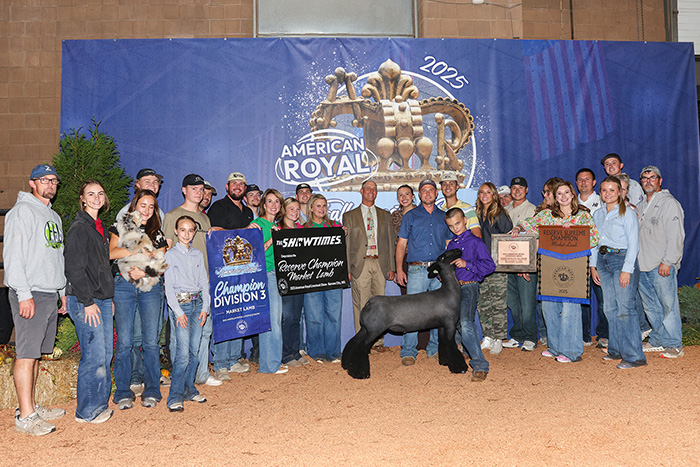 Reserve Grand Champion Market Lamb American Royal Reserve Grand Champion Market Lamb<br />
American Royal